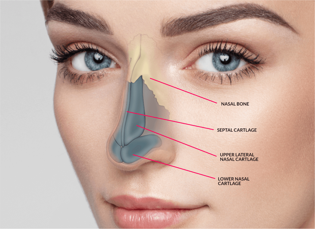 Rhinoplasty Cost In Dubai