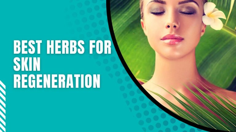 Best Herbs For Skin Regeneration