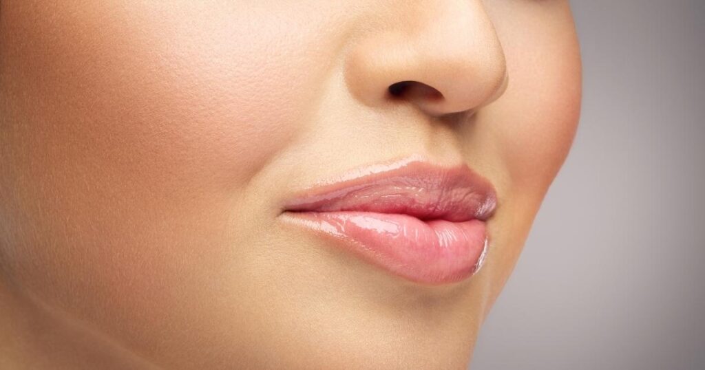 Anatomy Of The Lips